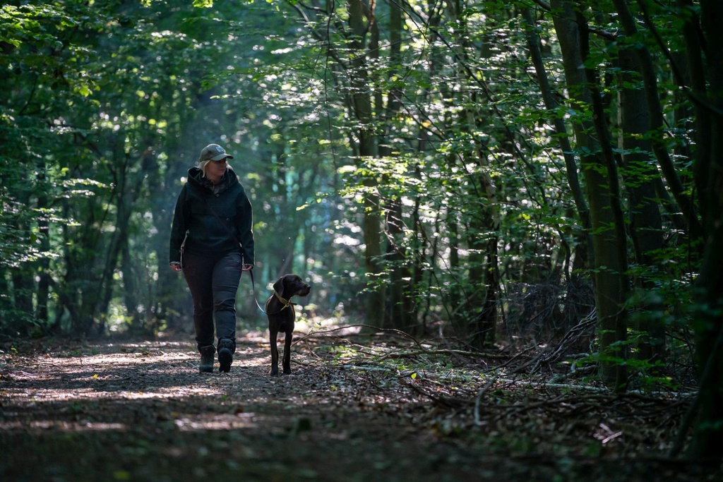 Lodenpullover "Lopu" Damen